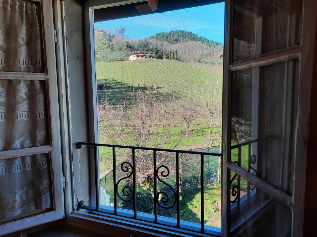 Agriturismo Tenuta Adamo Lucca Exterior foto