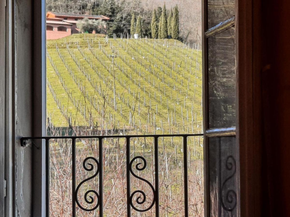 Agriturismo Tenuta Adamo Lucca Exterior foto